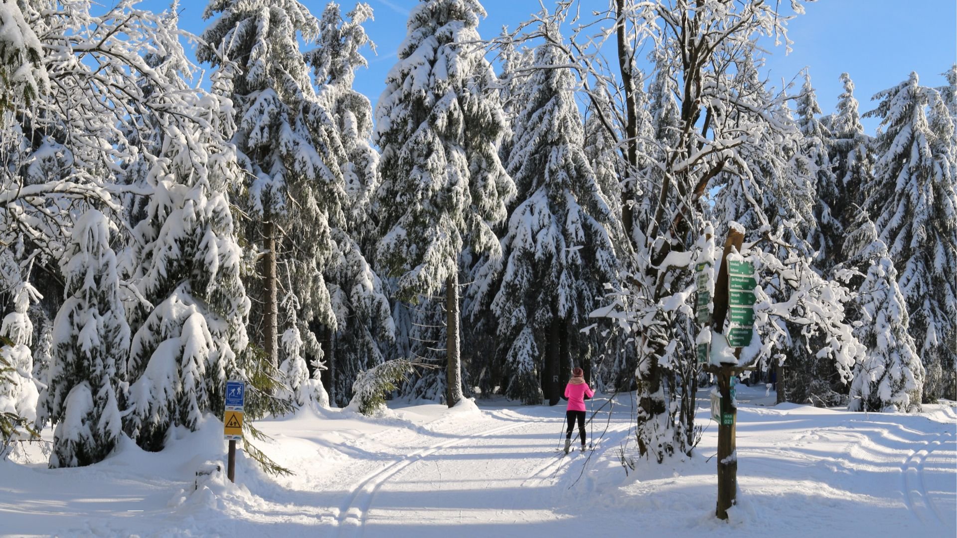 Skifahren im Winter