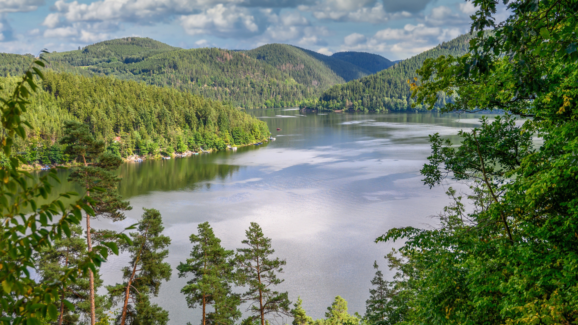 bewusst natur GmbH - Header